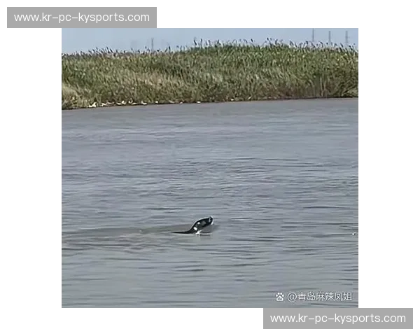 游泳首发全攻略——开启你的水中传奇之旅